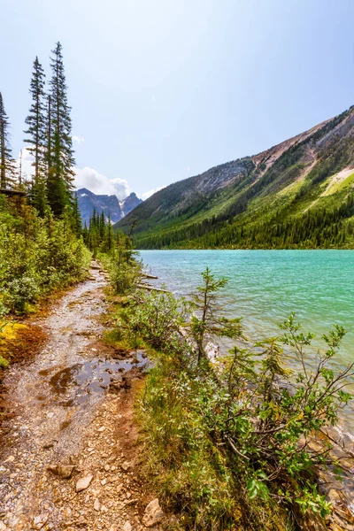 Rocky Dağları 'nda yürüyüş parkurunda. Sherbrooke Gölü boyunca uzanan dar ve sulak bir patika. Yoho Ulusal Parkı, İngiliz Kolombiyası, Kanada