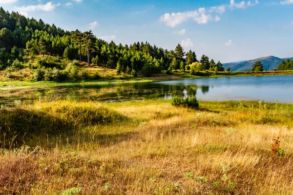 Picturesque Summer Landscape View Peaceful Pond Surrounded Lush Vegetation Korca — Stock Photo, Image