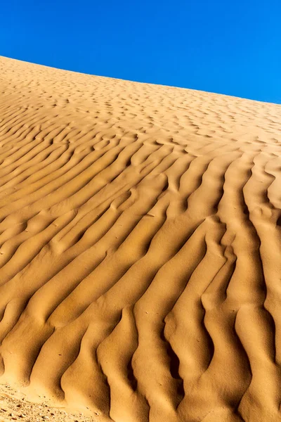 Dunes Close Sahara Sand Background Amazing Undulating Pattern Sand Tunisia — Stock Photo, Image