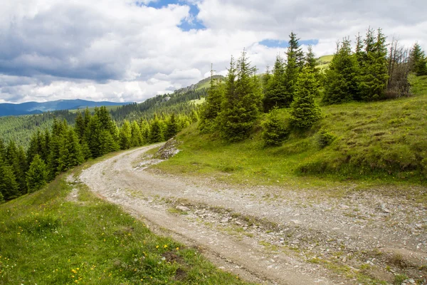 Road in the Lotru mountains — Stock Photo, Image