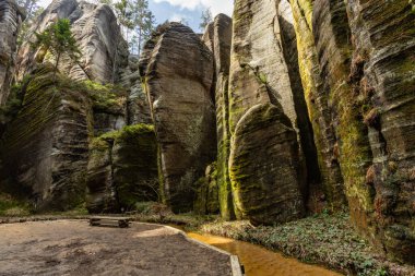 National Nature Reserve Adrspach-Teplice Rocks. Elephant square. Bohemia region, Czech Republic