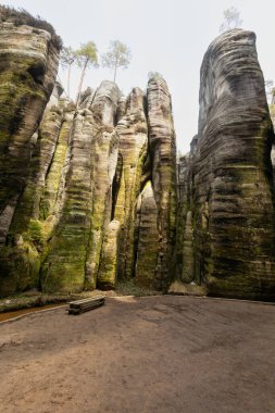 National Nature Reserve Adrspach-Teplice Rocks. Elephant square. Bohemia region, Czech Republic