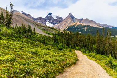 Parker Ridge 'e yürüyüş parkurunda. Dağlarda dar bir yol. Athabasca Dağı ve Hilda Tepesi arkada. Rocky Dağları. Banff Ulusal Parkı, Alberta, Kanada