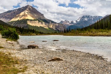 Güneşli bir yaz gününde, Icefields Parkway boyunca uzanan Athabasca Nehri. Jasper Ulusal Parkı, Alberta, Kanada