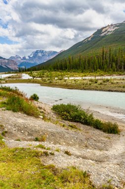 Güneşli bir yaz gününde, Icefields Parkway boyunca uzanan Athabasca Nehri. Jasper Ulusal Parkı, Alberta, Kanada