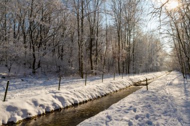 Parkta güneşli bir kış günü. Küçük bir deresi olan kış manzarası. Katowice, Silezya, Polonya