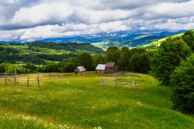 Tepeleri, ormanları ve tarlaları olan güzel bir kırsal alan. Maramures, Romanya