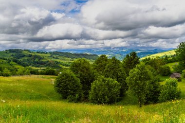Tepeleri, ormanları ve tarlaları olan güzel bir kırsal alan. Maramures, Romanya