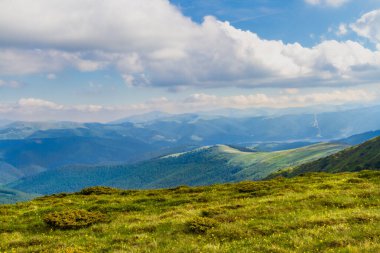 Lotru Dağları 'nın güzel manzarası. Resimli yamaçlar. Çiçekler ve uzun otlarla kaplı. Güney Karpatlar, Romanya