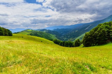 Vidraru Gölü yakınlarındaki Fagaras Dağları 'nda güzel bir vadi. Çimlerle ve kozalaklı ormanlarla kaplı otlak yamaçlar. Güney Karpatlar, Romanya