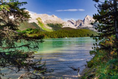 Rocky Dağları 'nın manzarası. Güzel gök mavisi Maligne Gölü. Jasper Ulusal Parkı, Alberta, Kanada