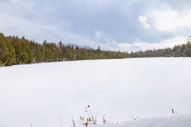 Kış manzarası. Crawford Gölü donmuş ve karla kaplı. Crawford Gölü, Niagara Tepesi Dünya Biyosfer rezervinin bir parçasıdır. Milton, Halton Bölgesi, Ontario, Kanada.