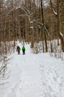 Kış yürüyüşü İki tanınmayan kadın ormanda kış yolu boyunca yürür. Arkadan görüntüle.