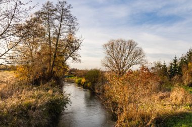 Sonbahar manzarası. Tarlaların ortasında küçük bir dere. Swietokrzyskie Eyaleti, Polonya