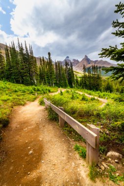 Parker Ridge 'e yürüyüş parkurunda. Dağlarda yol var. Rocky Dağları. Banff Ulusal Parkı, Alberta, Kanada