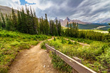Parker Ridge 'e yürüyüş parkurunda. Dağlarda yol var. Rocky Dağları. Banff Ulusal Parkı, Alberta, Kanada