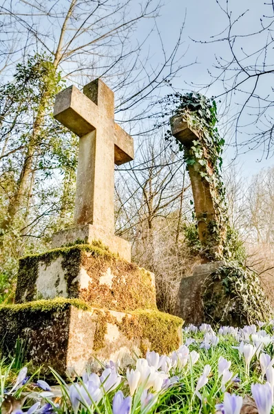 Blommor på en kyrkogård — Stockfoto