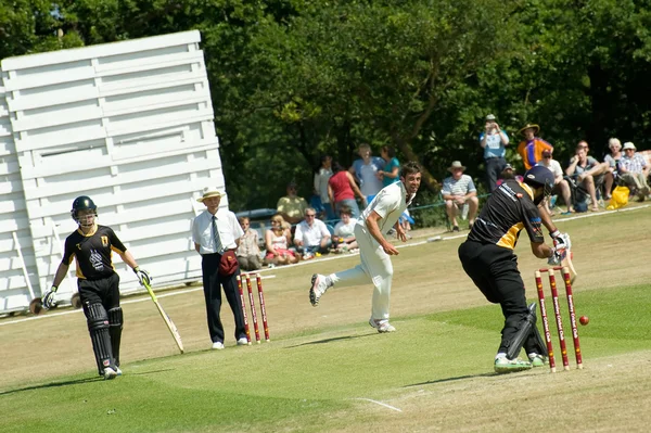 Cricket-Spiel — Stockfoto