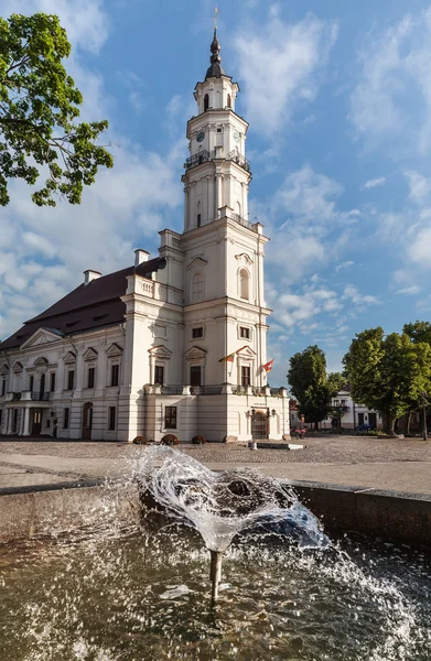 Vista da Câmara Municipal na cidade velha. Kaunas, Lituânia — Fotografia de Stock