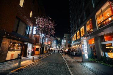 Tokyo sokakları ve gece ışıkları
