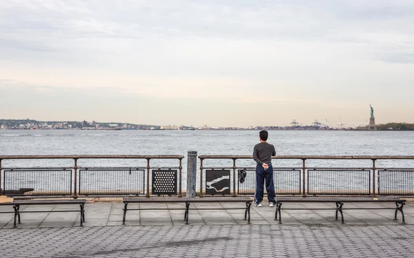 Uitzicht vanaf Battery Park in lower Manhattan — Stockfoto