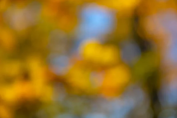 Rozmazané Jasné Podzimní Pozadí Abstraktní Textura Podzimního Lesa Pozadí — Stock fotografie