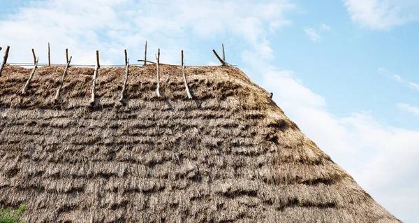 Hasır çatı dokusu. Çimen çatının arka plan dokusu. Çatı kurumuş çimlerle kaplıydı. Saman deseni