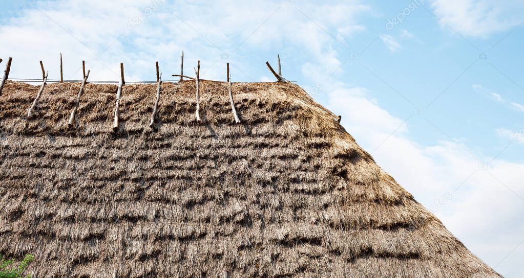 Straw Roof texture. Grasses thatch roof background texture. Roof covered with dried grass. Straw pattern