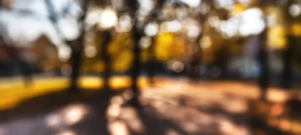 Абстрактный Размытый Фон Ослабленное Изображение Осеннего Парка Деревьями Листьями Дорожками — стоковое фото
