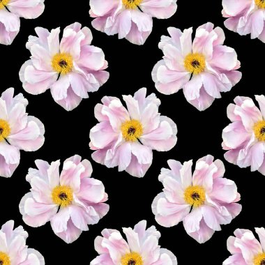 Floral background. Seamless pattern with peony flower isolated on black background
