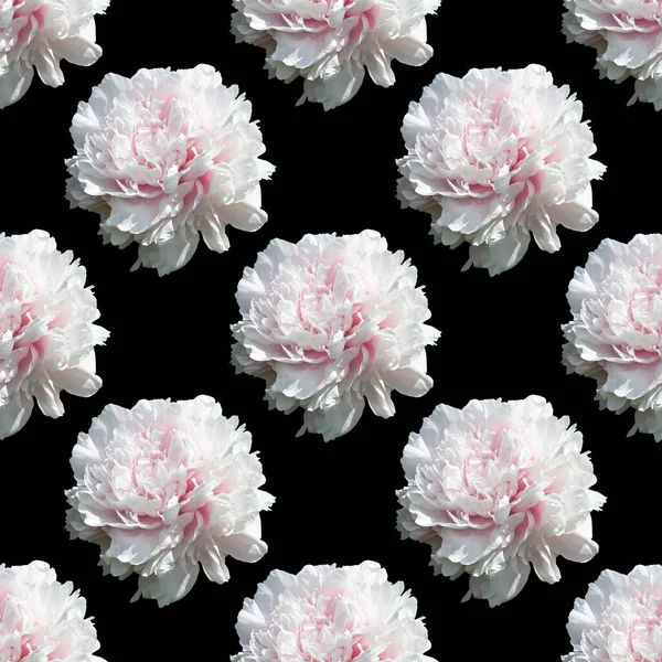 Floral Background Seamless Pattern Peony Flower Isolated Black Background — Stok fotoğraf