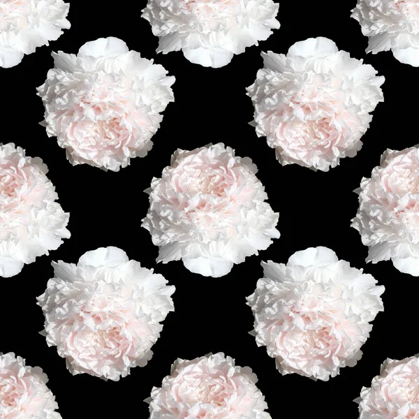 Floral Background Seamless Pattern Peony Flower Isolated Black Background — Stok fotoğraf