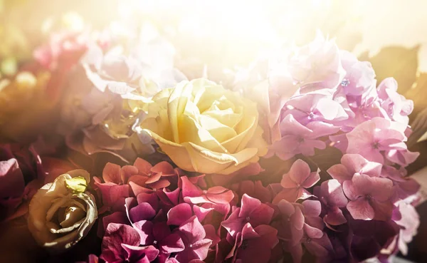 Güneş Işığının Altında Bir Buket Gül Ortanca Buketi Çiçek Arkaplanı — Stok fotoğraf