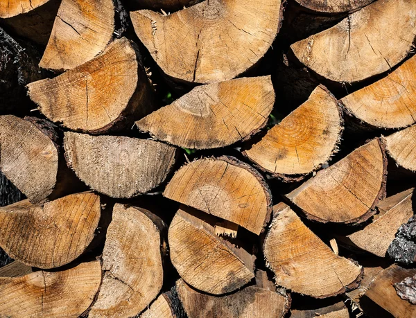 Cumulo di tronchi di legno — Foto Stock