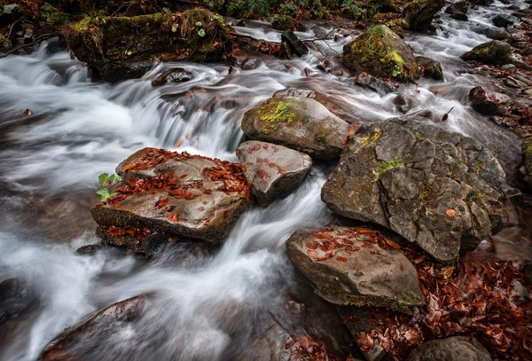 Water trapsgewijs — Stockfoto