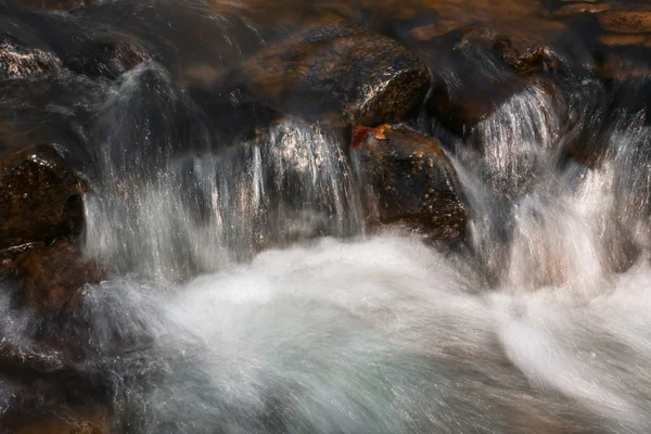 Waterfall and forest stream — Stock Photo, Image