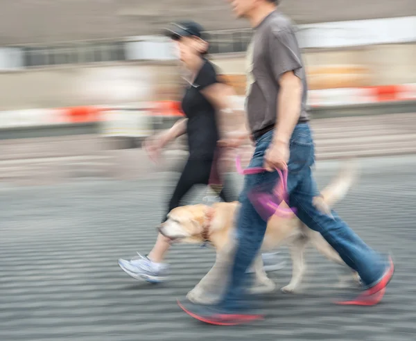 Homem e mulher caminhando com um cão — Fotografia de Stock