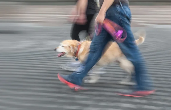 Мужчина и женщина гуляют с собакой — стоковое фото