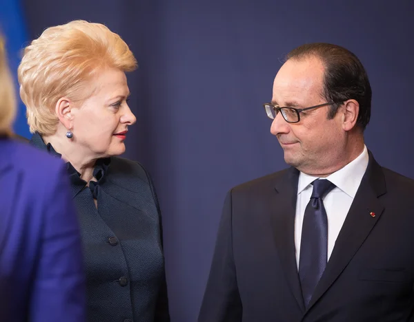 Dalia Grybauskaite i Francois Hollande — Zdjęcie stockowe