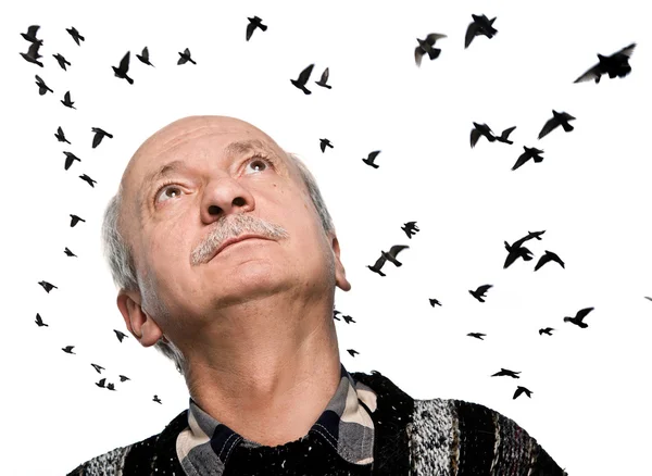 Mature man looking up on flying birds — Stock Photo, Image