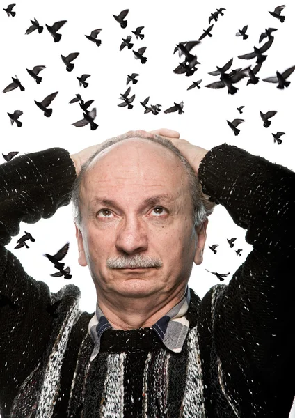 Mature man looking up on flying birds — Stock Photo, Image