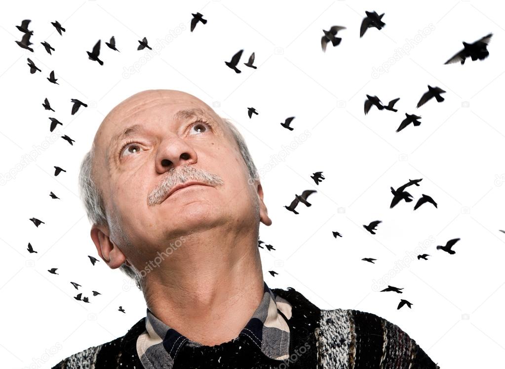 mature man looking up on flying birds