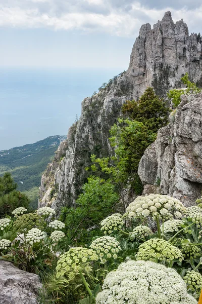 Alto rocas Ai-Petri de las montañas de Crimea — Foto de Stock