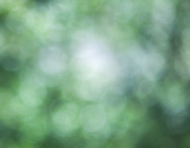 soyut bulanık doğa arkaplanı