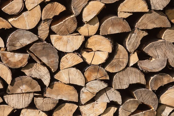 Pila de troncos de madera — Foto de Stock