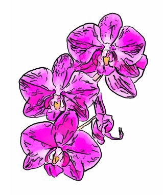 Orkide çiçekleri soyut gösteren resim