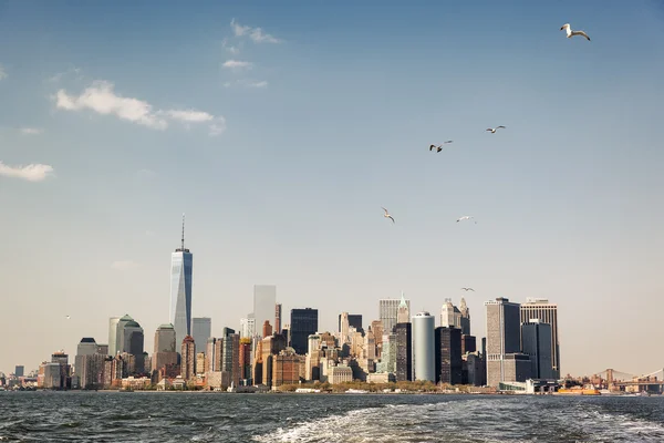 Gaviotas sobre Manhattan —  Fotos de Stock