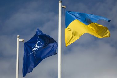 Nato ve Ukrayna bayrağı bayrağı
