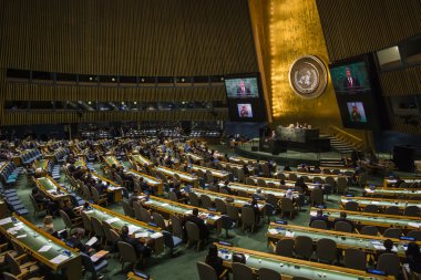 Ukrayna Petro Poroshenko, BM Genel Kurul Başkanı