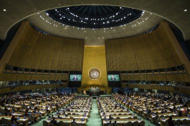 Ukrayna Petro Poroshenko, BM Genel Kurul Başkanı